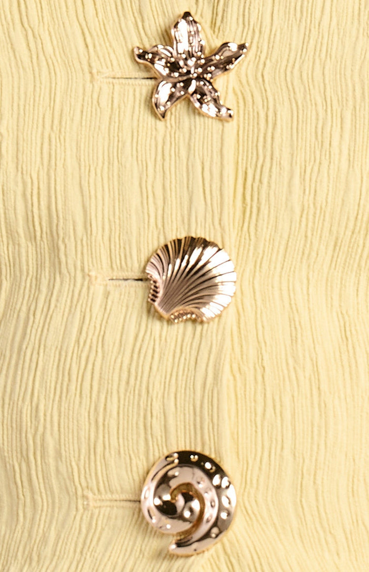Here Comes The Sun set Shell Button Set - Lemon