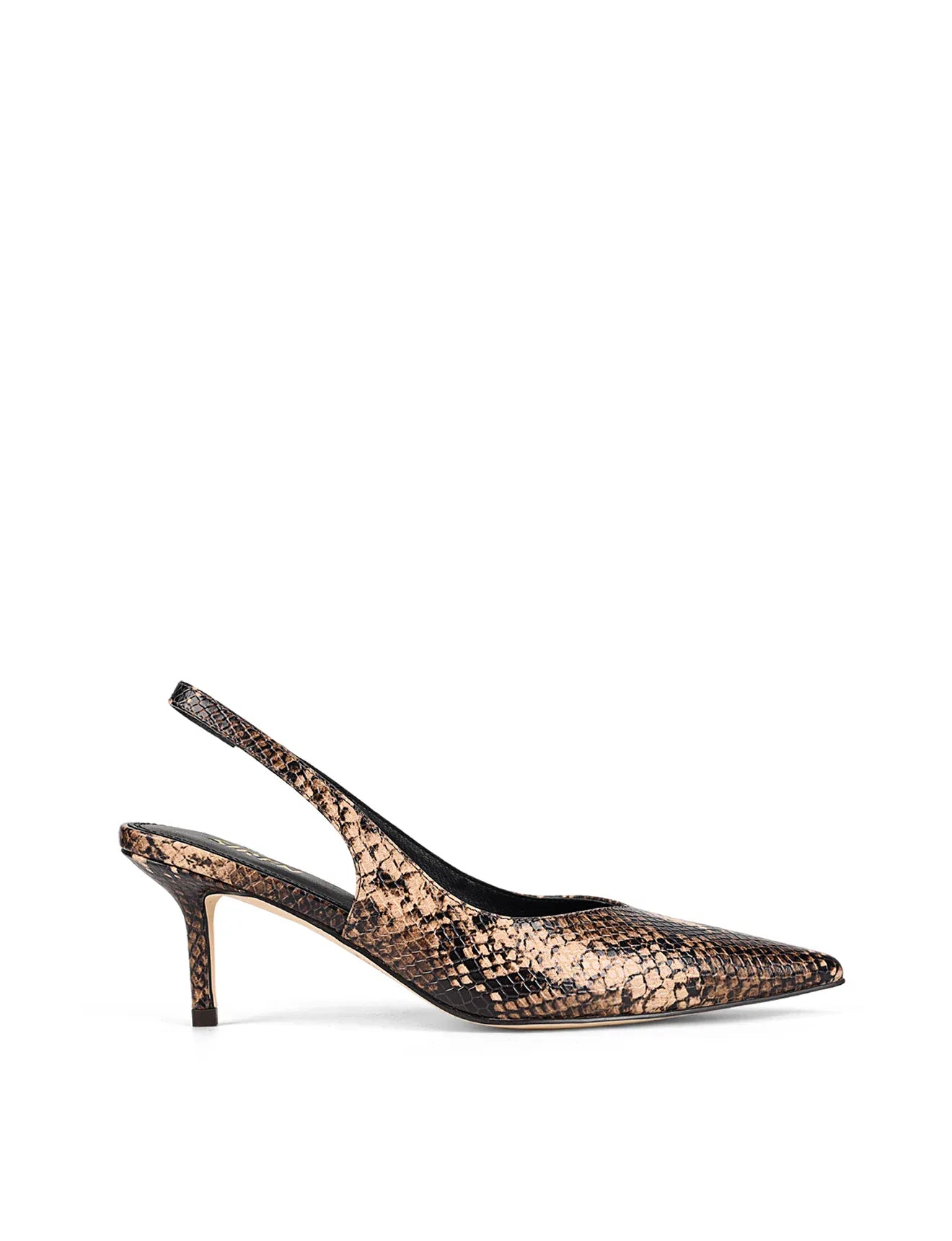 Siren snake heels Yory -  Brown Snake