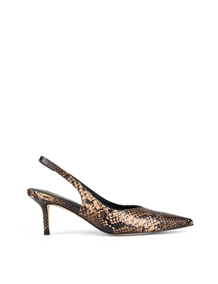 Siren snake heels Yory -  Brown Snake